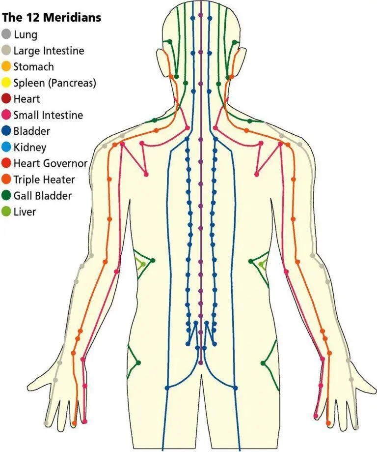 MERIDIANS NETWORK IN OUR BODY